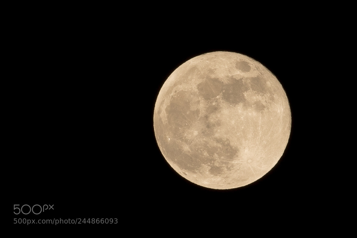 Canon EOS 7D Mark II sample photo. Blue moon photography