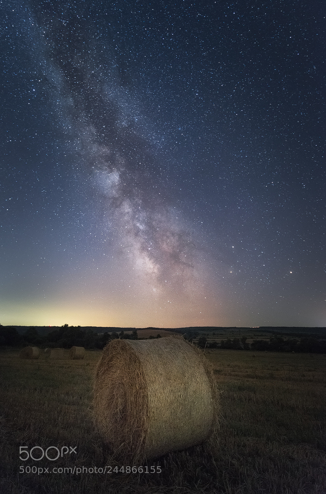 Nikon D800E sample photo. Summer starry night in photography