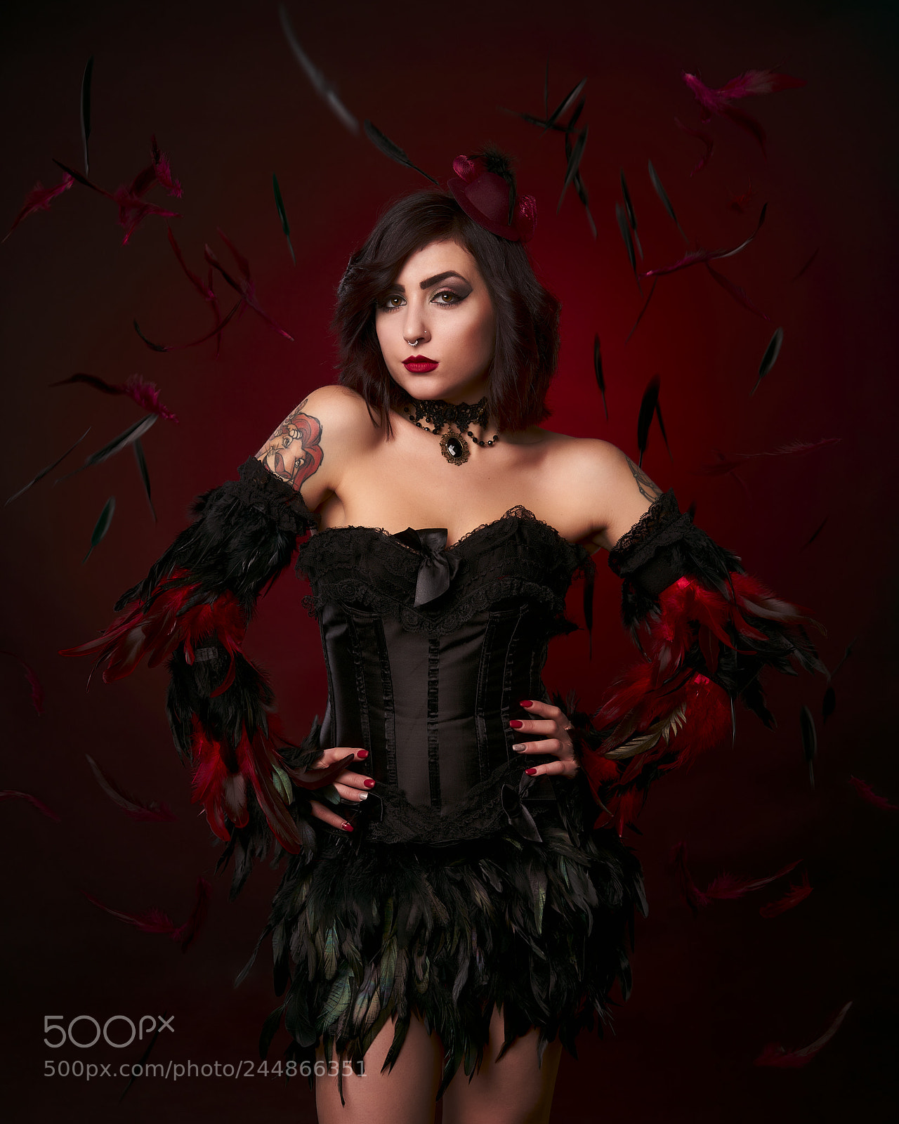 Sony a7R II sample photo. Black and red feathers photography