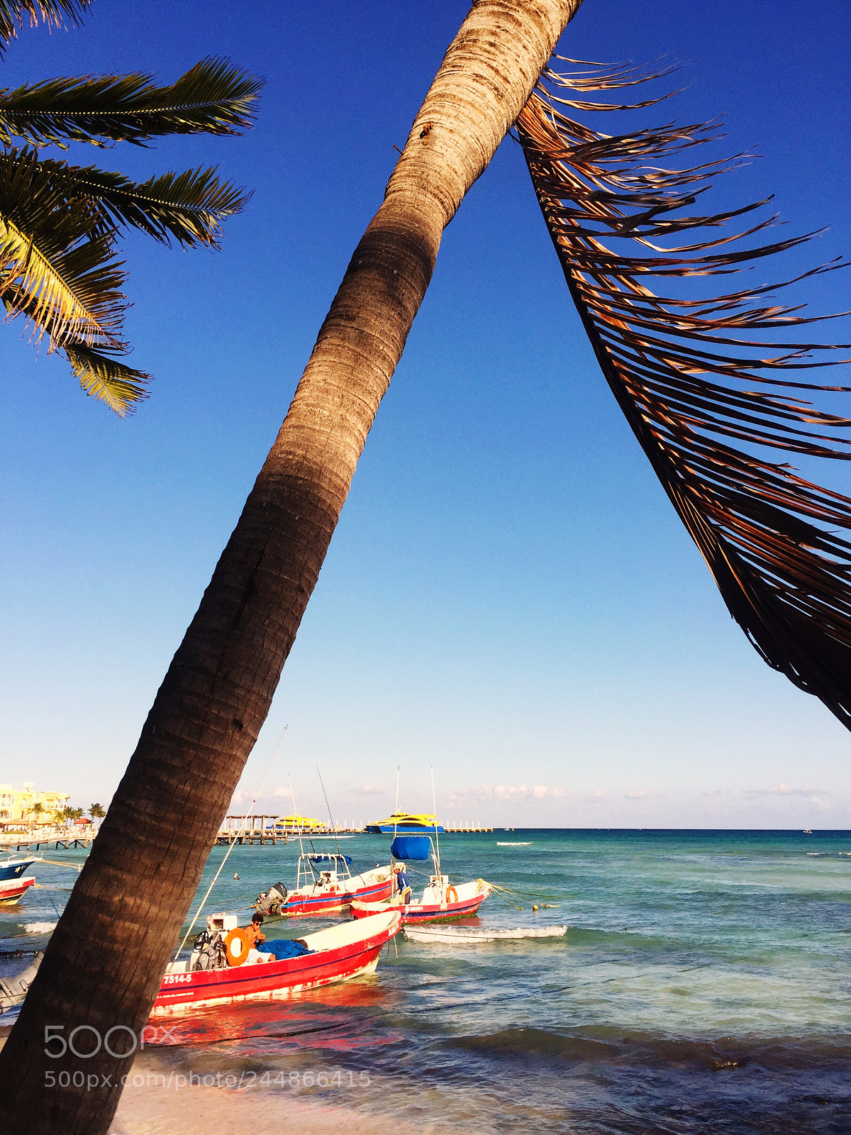 Apple iPhone 6 Plus sample photo. Sailboats swaying as the photography