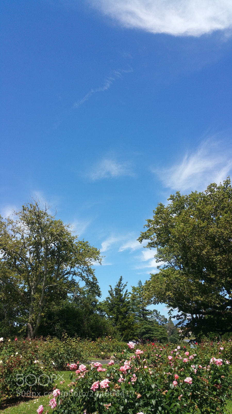 Samsung Galaxy Note4 sample photo. Blue sky and clouds photography