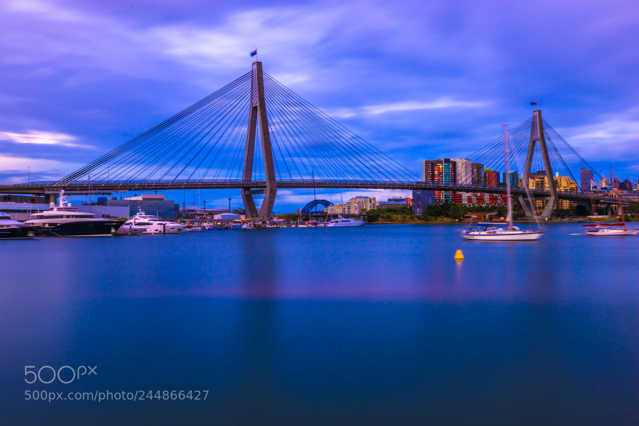 Nikon D810 sample photo. Anzac bridge photography