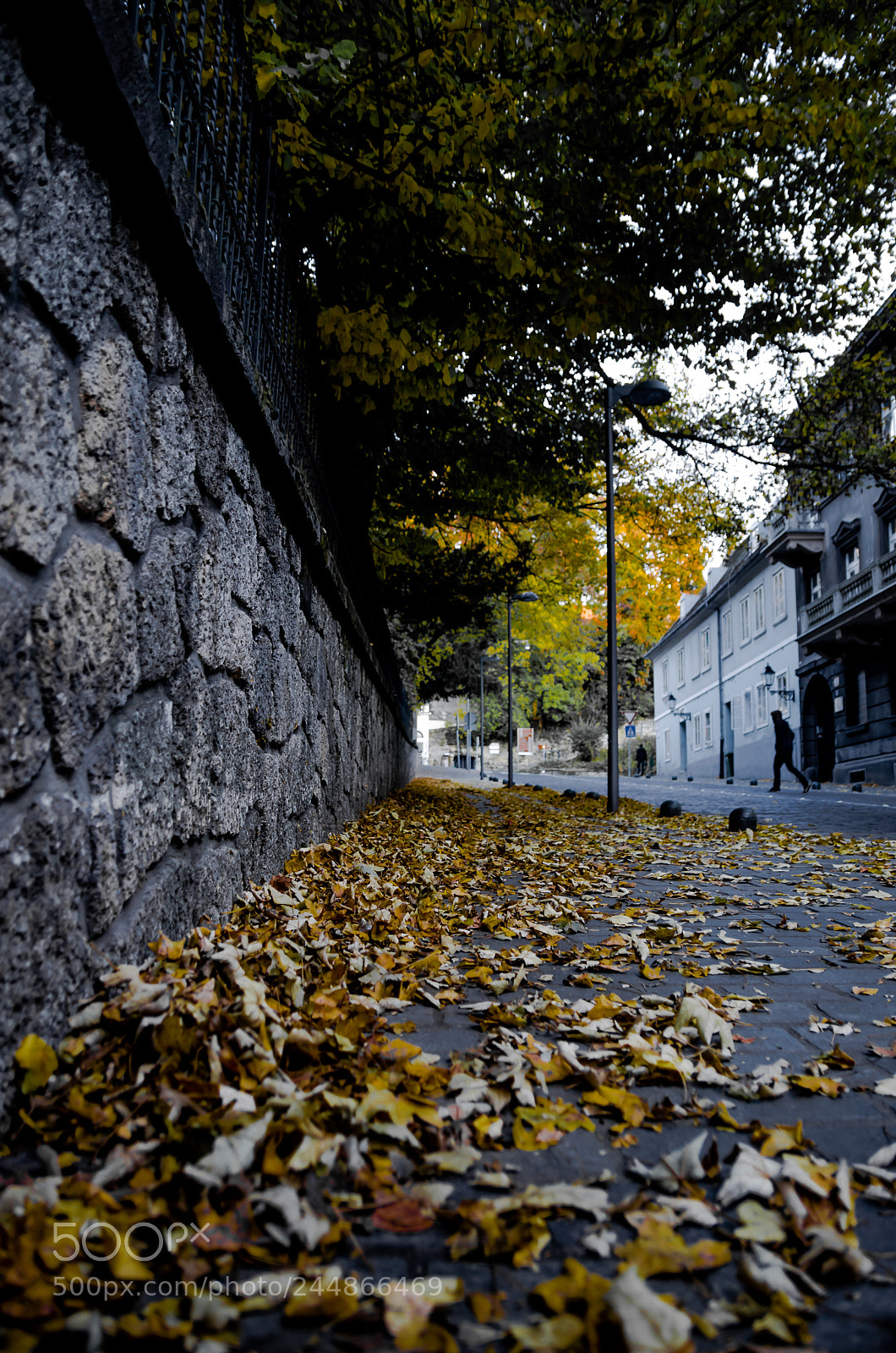 Nikon D5100 sample photo. Tuškanac photography