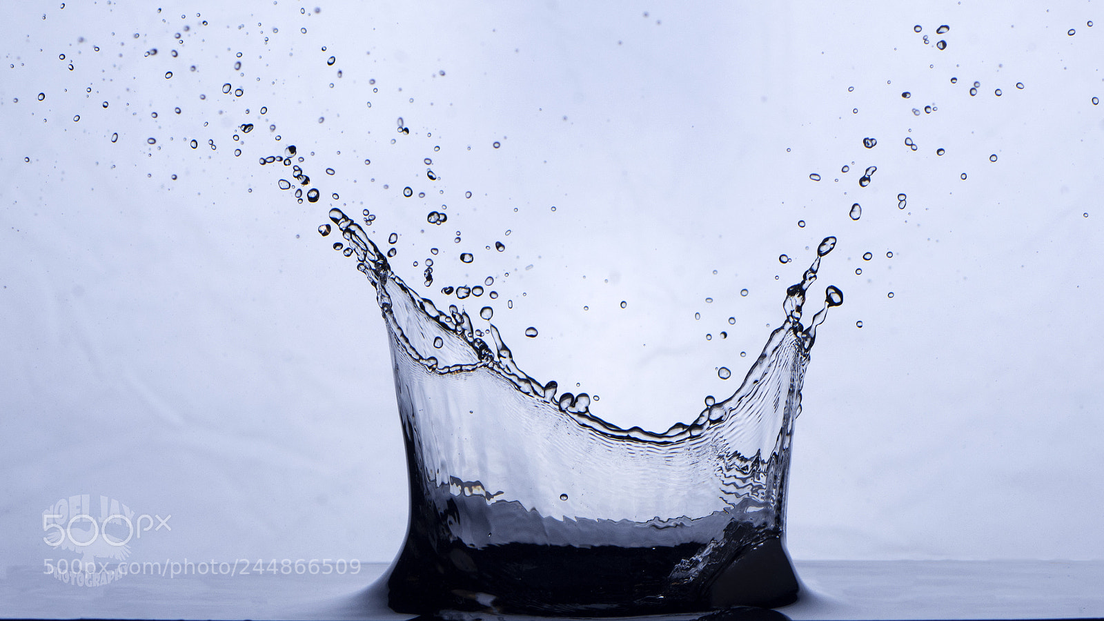 Nikon D7200 sample photo. Oops photography
