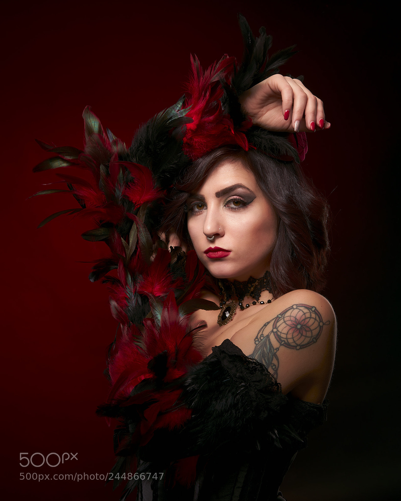 Sony a7R II sample photo. Black and red feathers photography