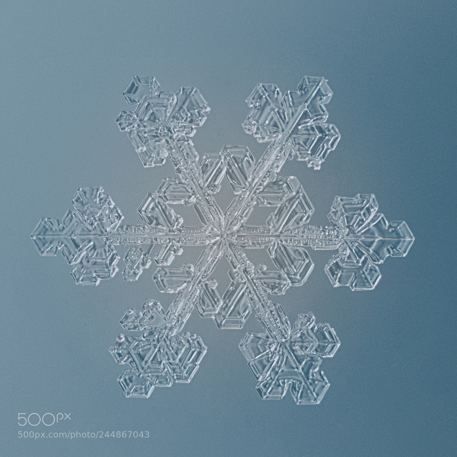 Canon EOS 7D Mark II sample photo. Snowflake photography