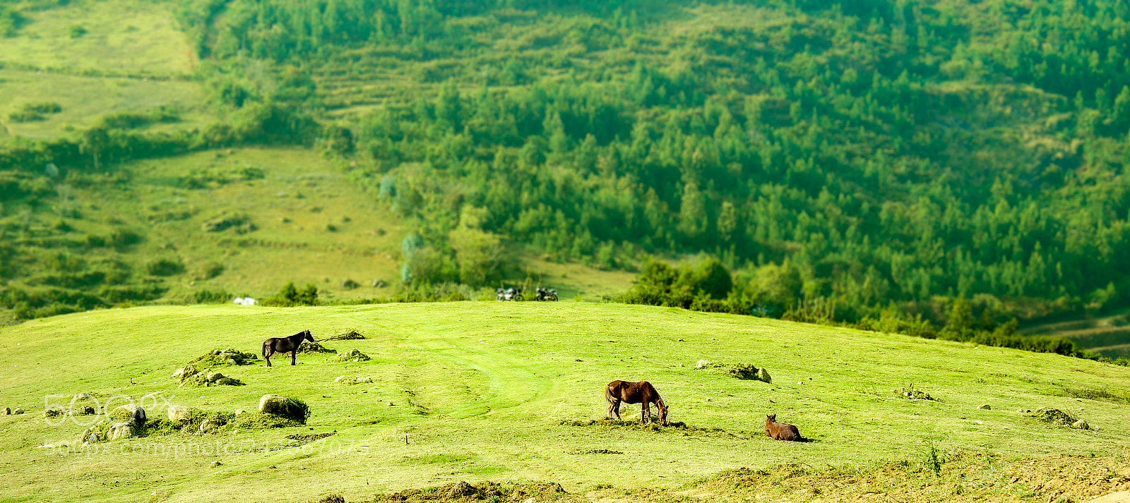 Sony Alpha NEX-F3 sample photo. View from the room photography
