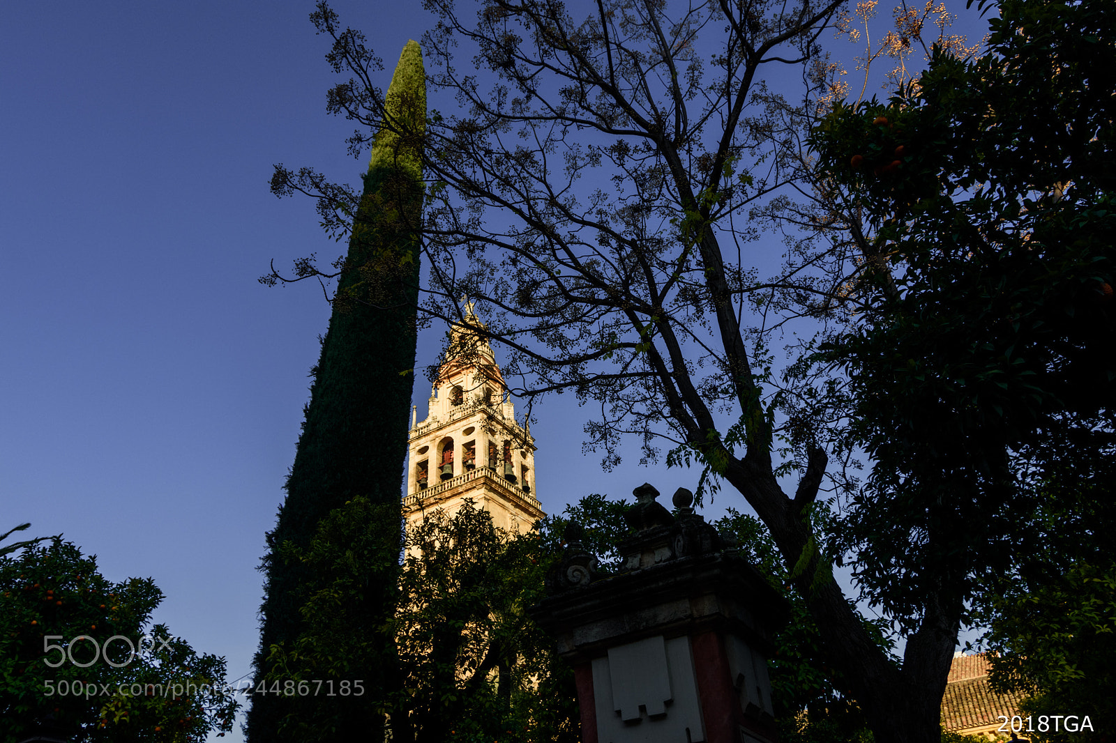 Nikon D7200 sample photo. 26174914798.jpg photography