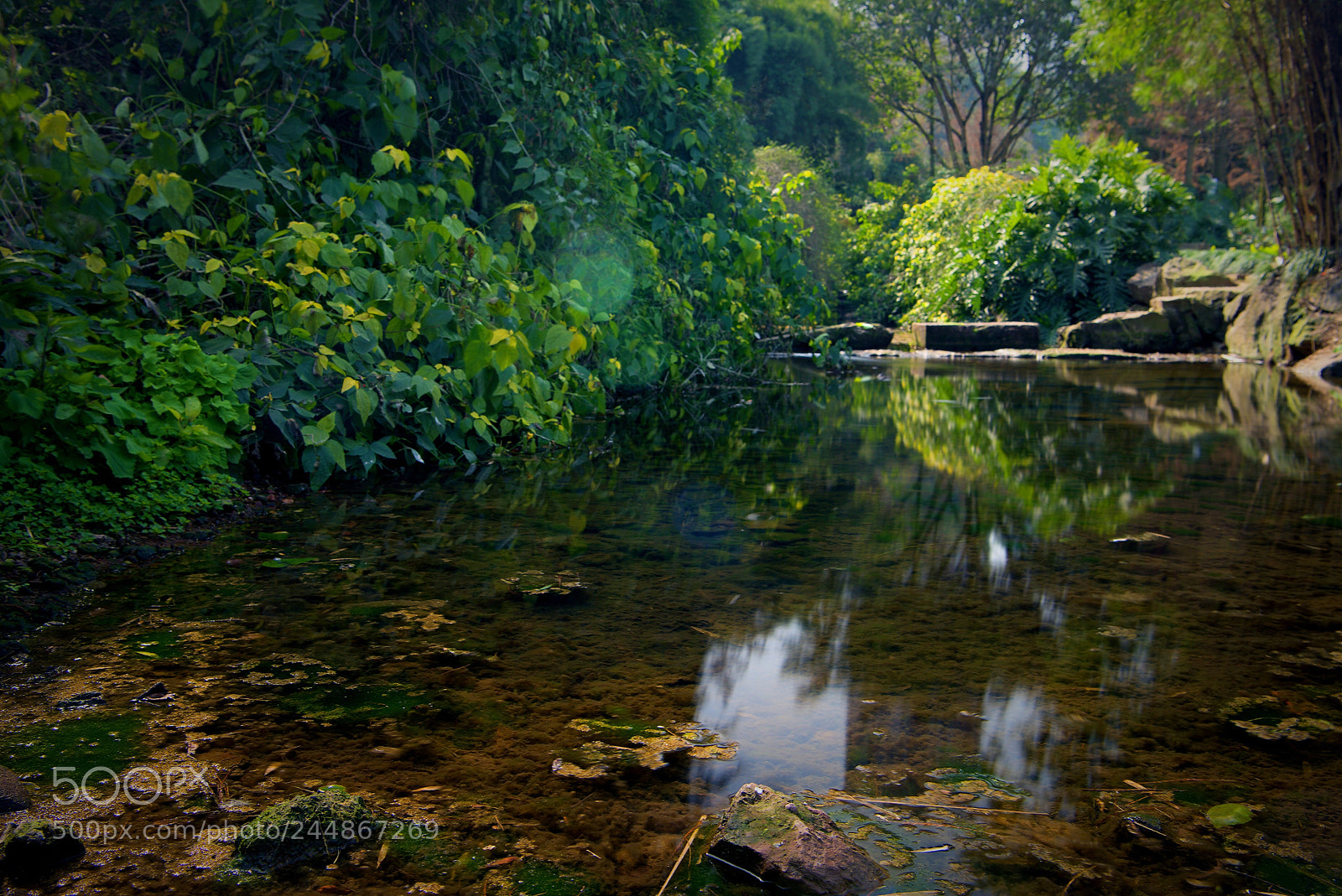 Nikon D800 sample photo. 立春-2 photography