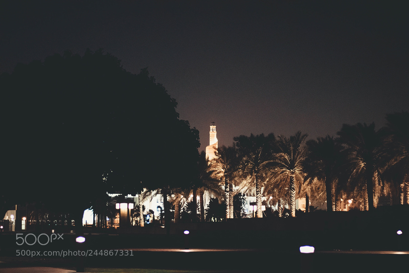 Canon EOS 77D (EOS 9000D / EOS 770D) sample photo. Untitled photography