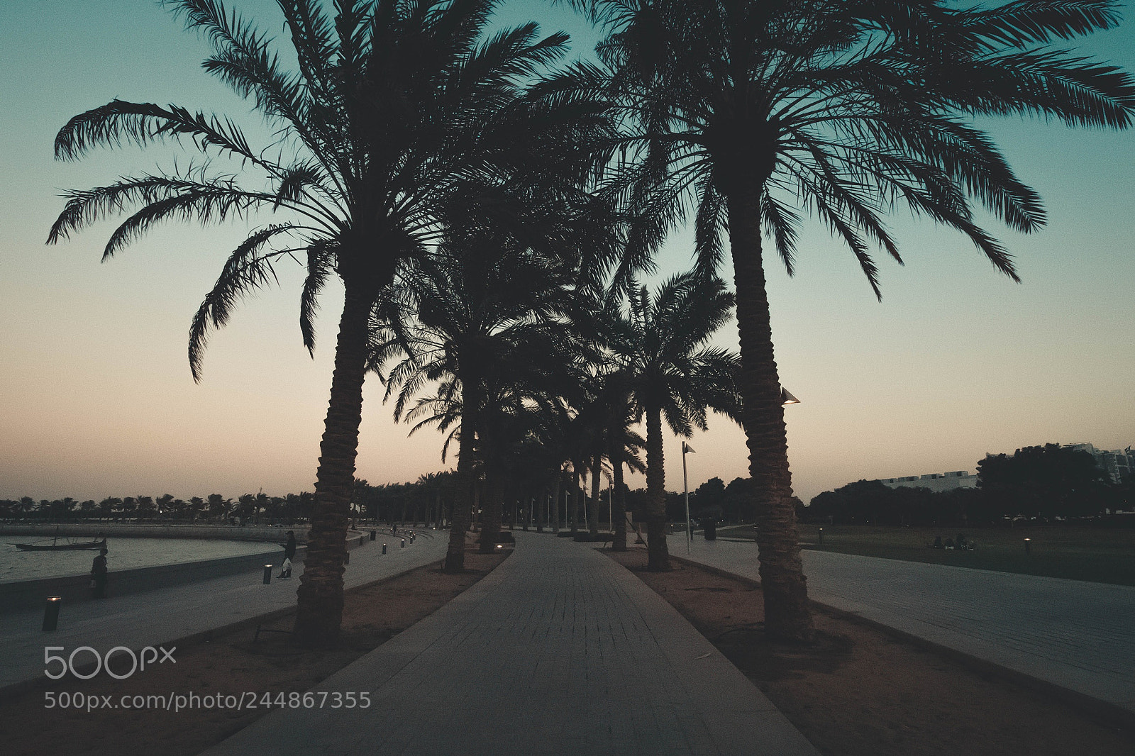 Canon EOS 77D (EOS 9000D / EOS 770D) sample photo. Untitled photography