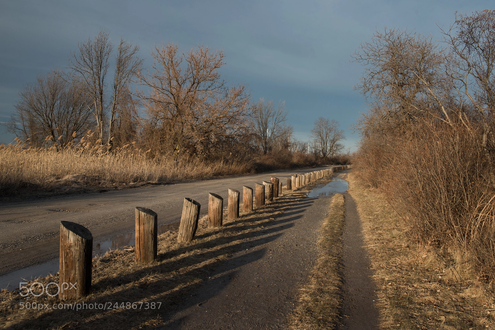 Nikon D810 sample photo. Great kills park photography
