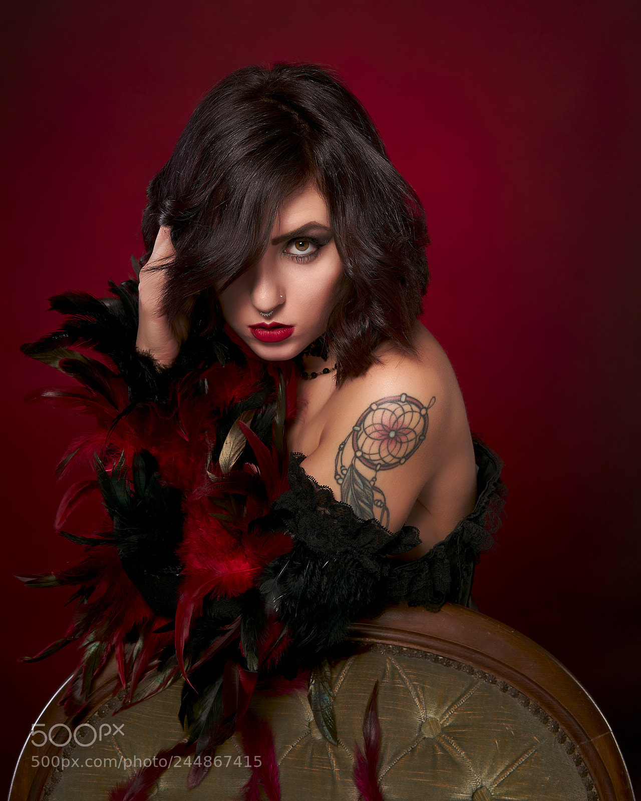 Sony a7R II sample photo. Black and red feathers photography