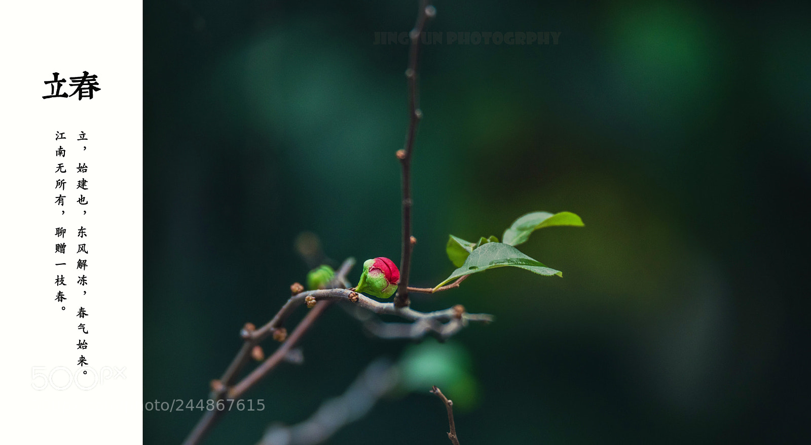 Nikon D810 sample photo. Untitled photography