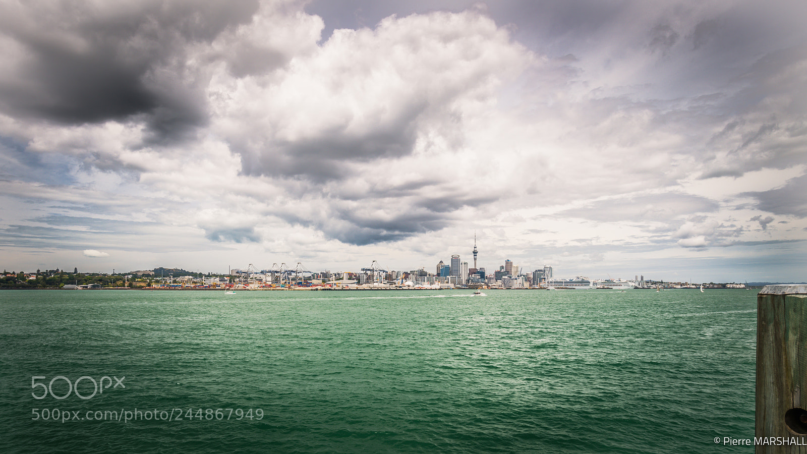 Nikon D850 sample photo. Auckland - tamaki photography