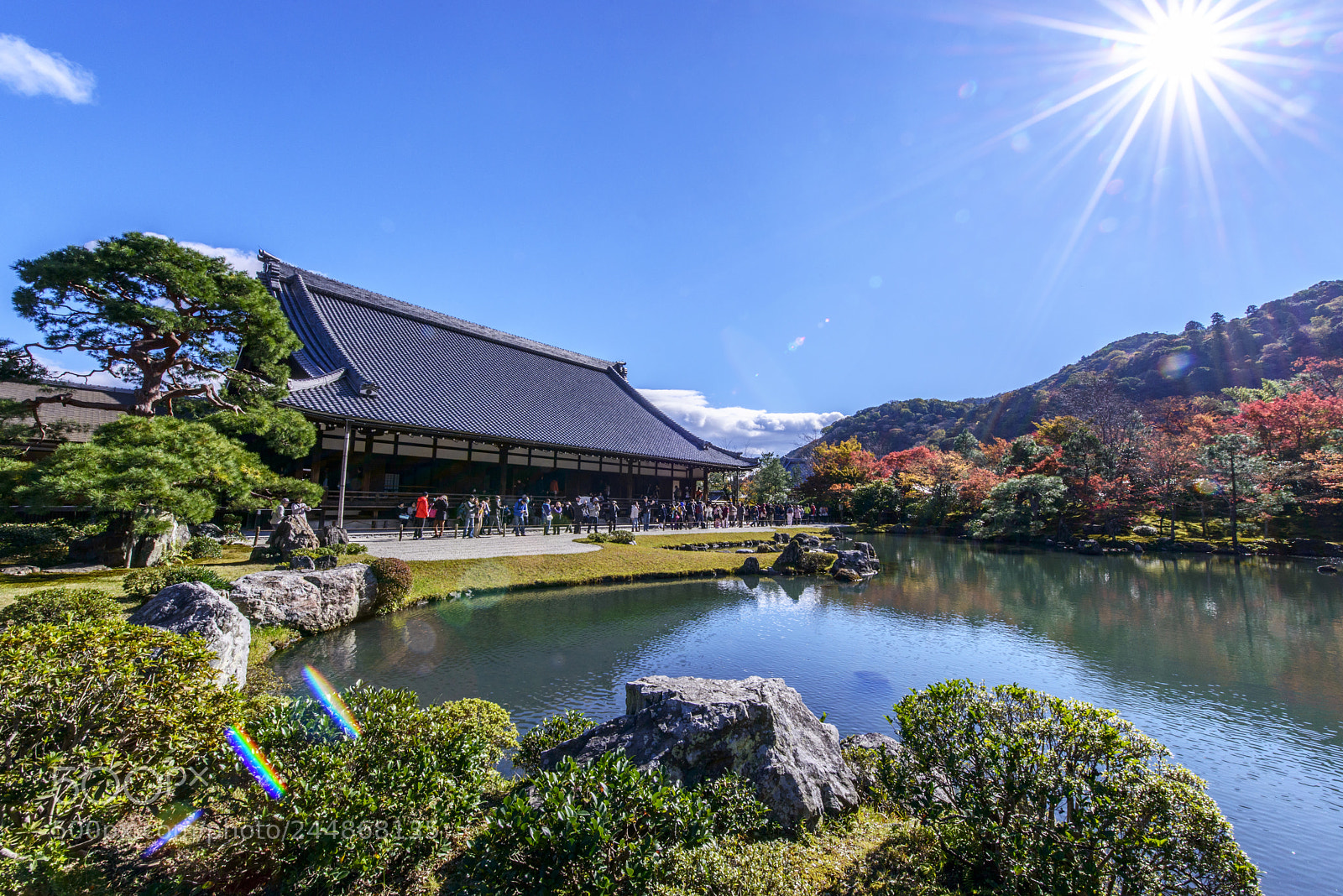 Nikon D800 sample photo. Kyoto 天龍寺 photography