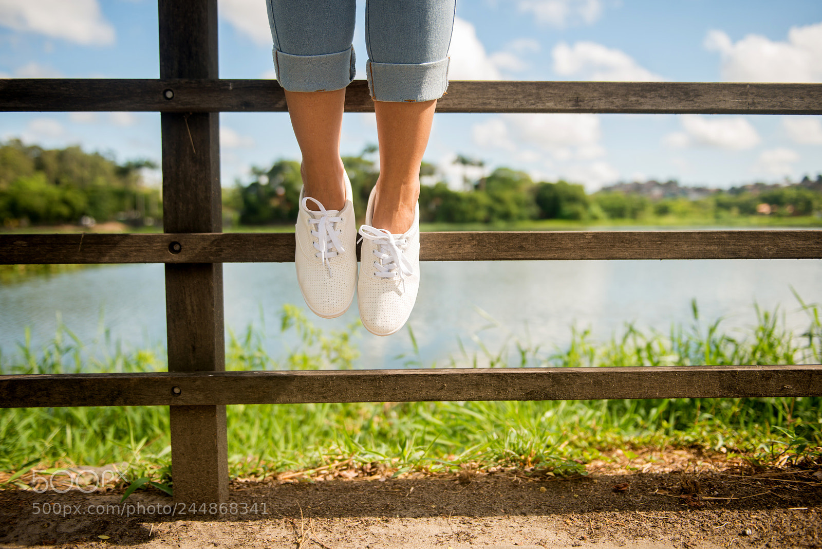 Nikon D800 sample photo. Fence photography