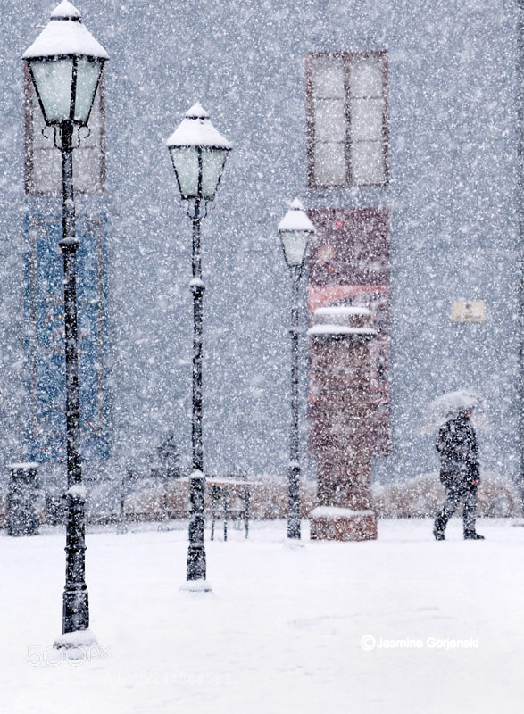 Olympus OM-D E-M1 Mark II sample photo. Winter in blue photography