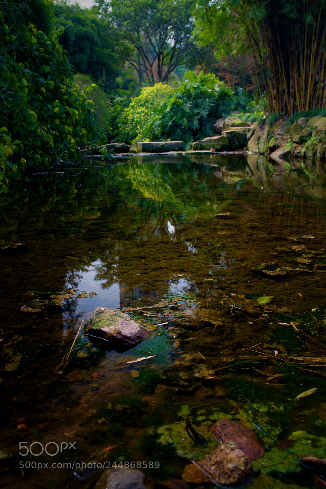 Nikon D800 sample photo. Untitled photography