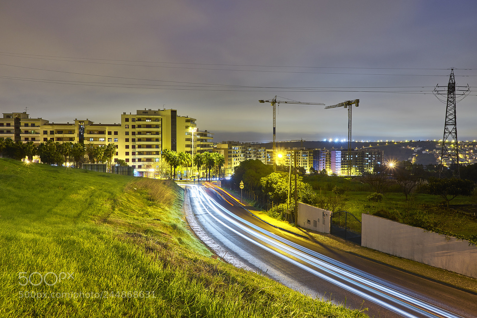 Sony a7R sample photo. Suburban green photography