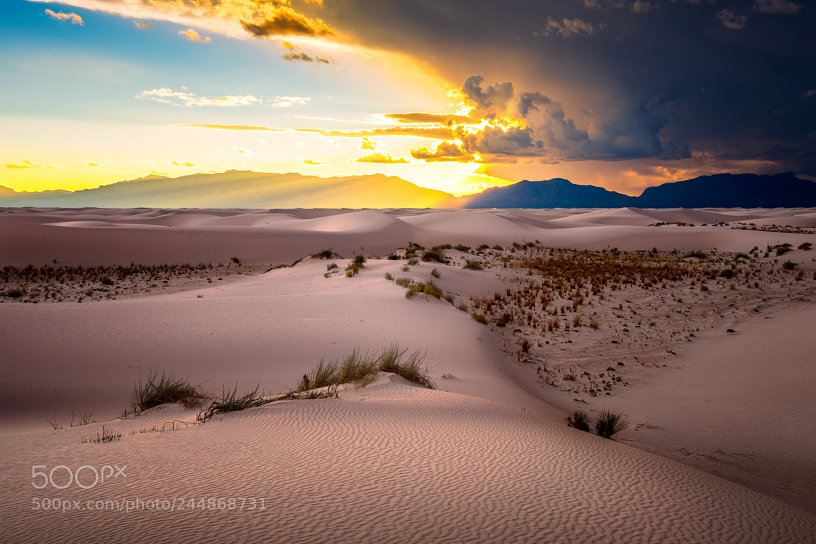 Nikon D810 sample photo. White sands national monument photography