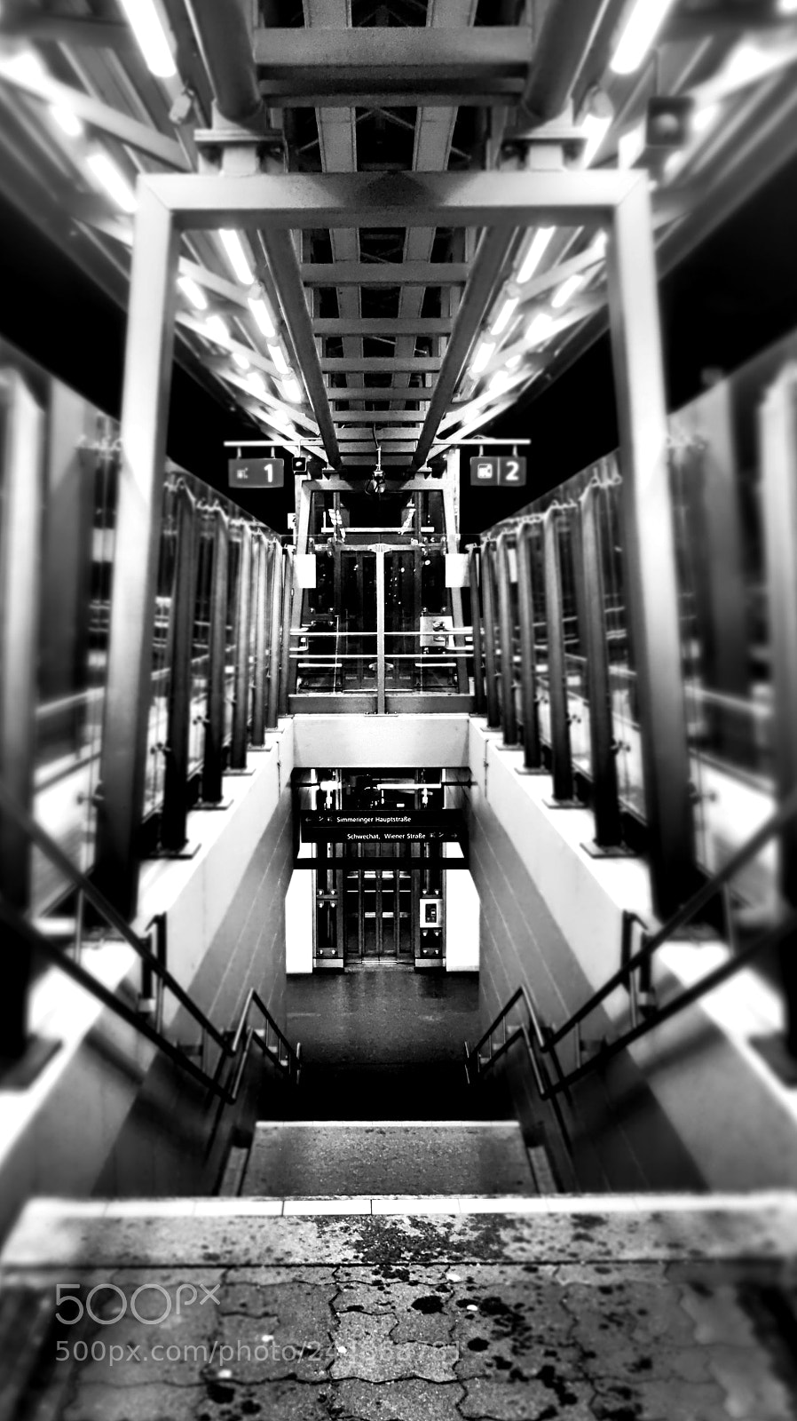 Olympus OM-D E-M10 sample photo. Suburban underworld photography