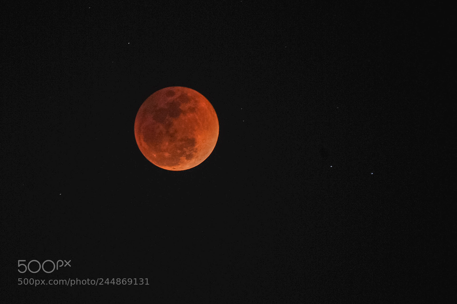 Nikon D3X sample photo. The red moon photography