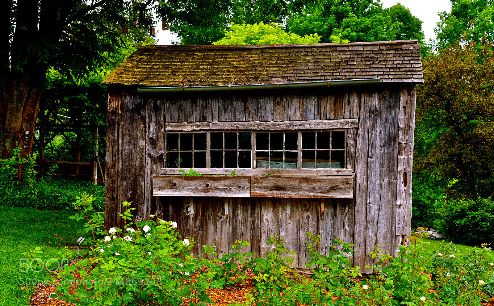 Nikon D600 sample photo. Garden shed photography