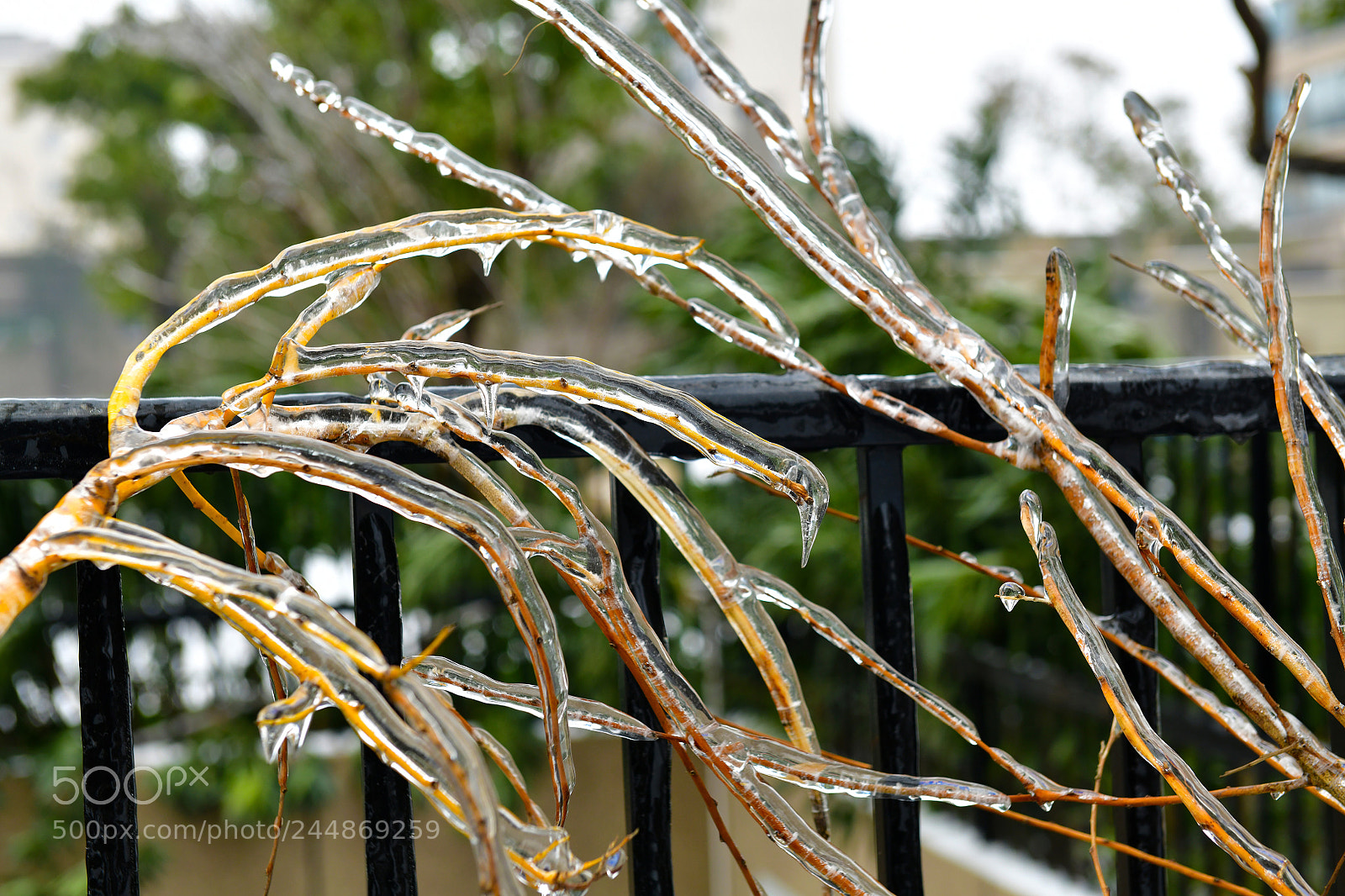 Nikon D850 sample photo. Untitled photography