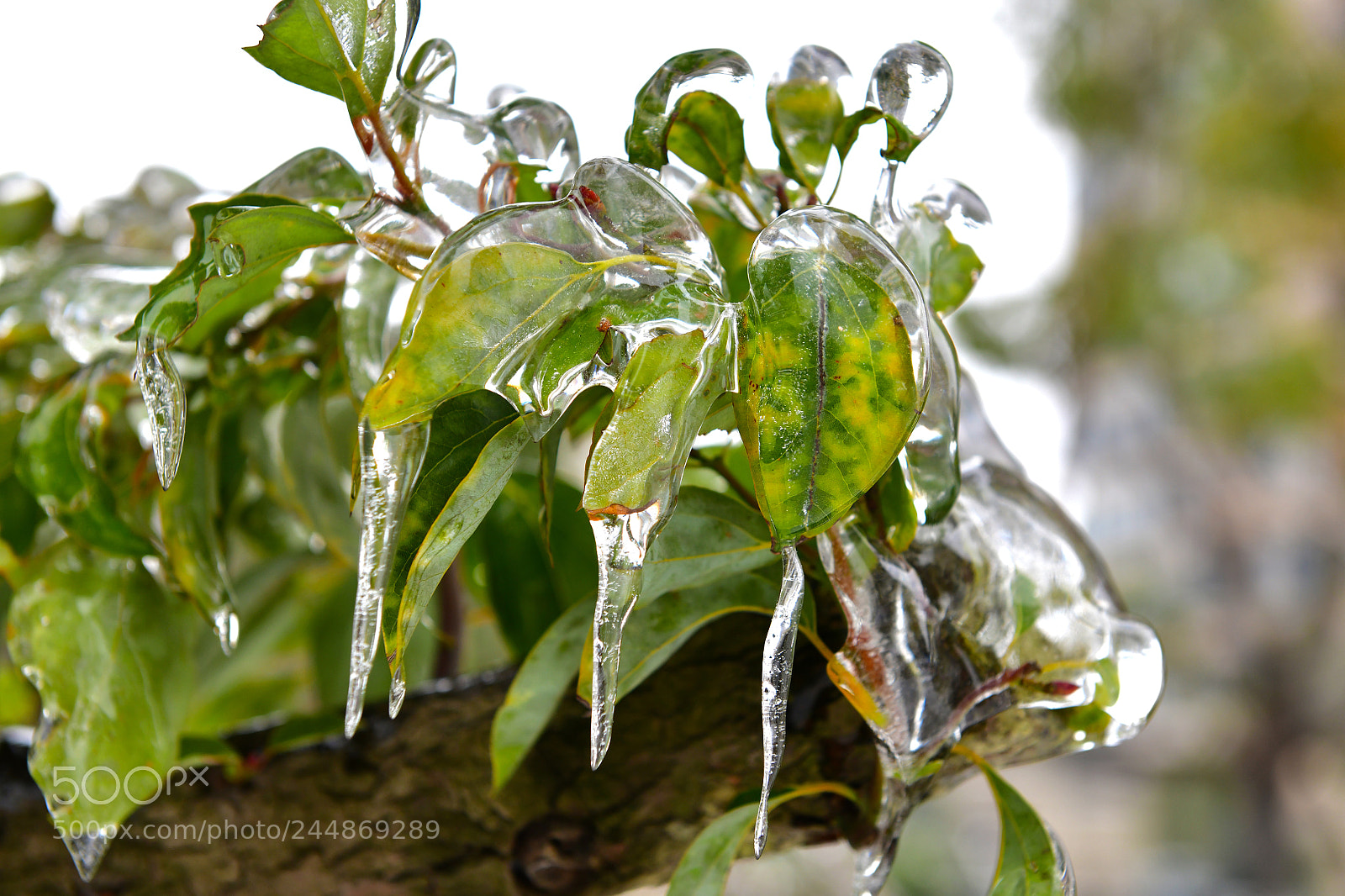 Nikon D850 sample photo. Untitled photography
