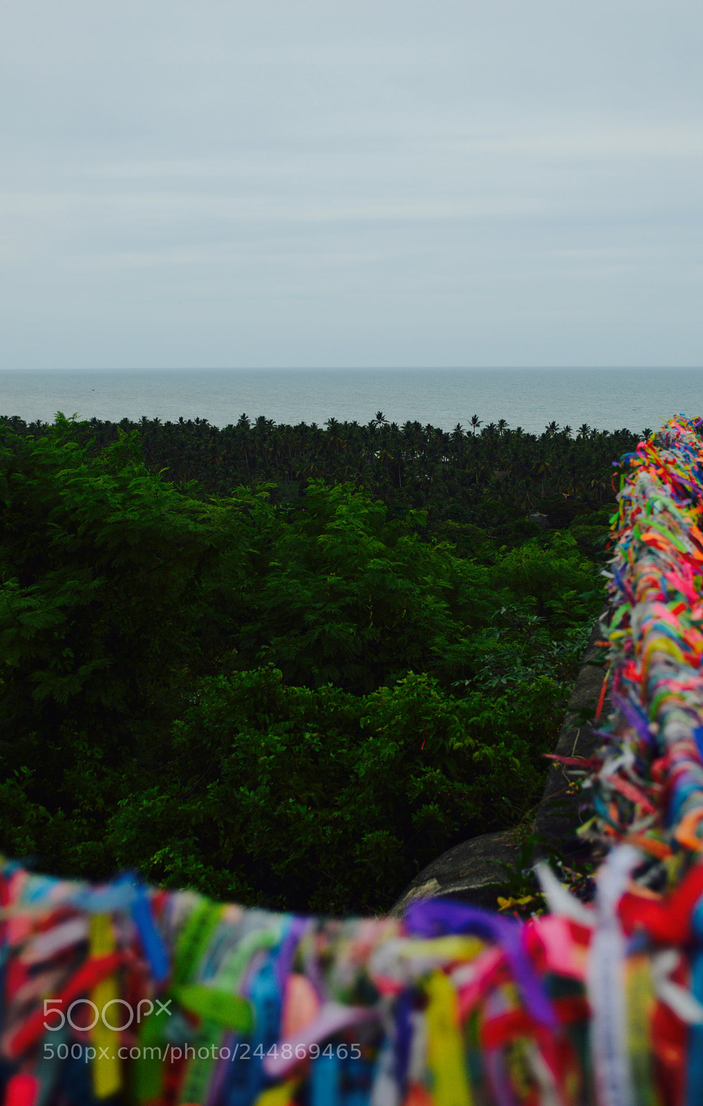 Nikon D3200 sample photo. Wishing well photography