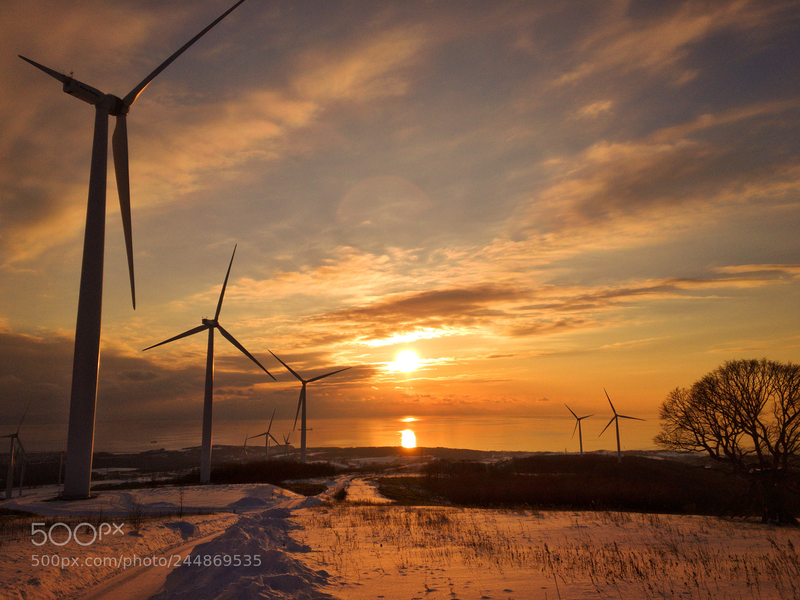 Apple iPhone 6s Plus sample photo. Date windfarm photography