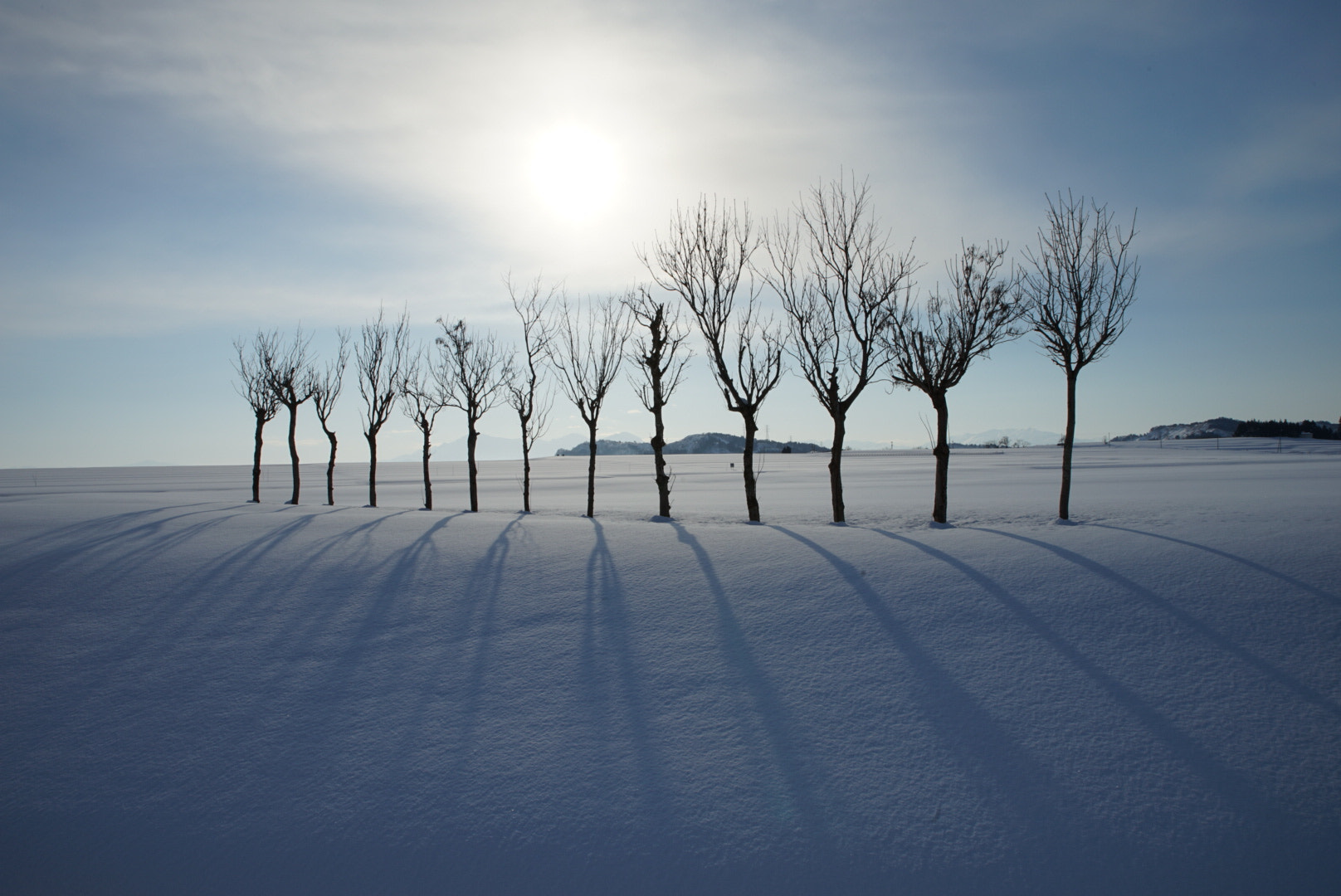 Sony a7 II + Canon EF 300mm F2.8L IS II USM sample photo. 雪原の稲架木 photography