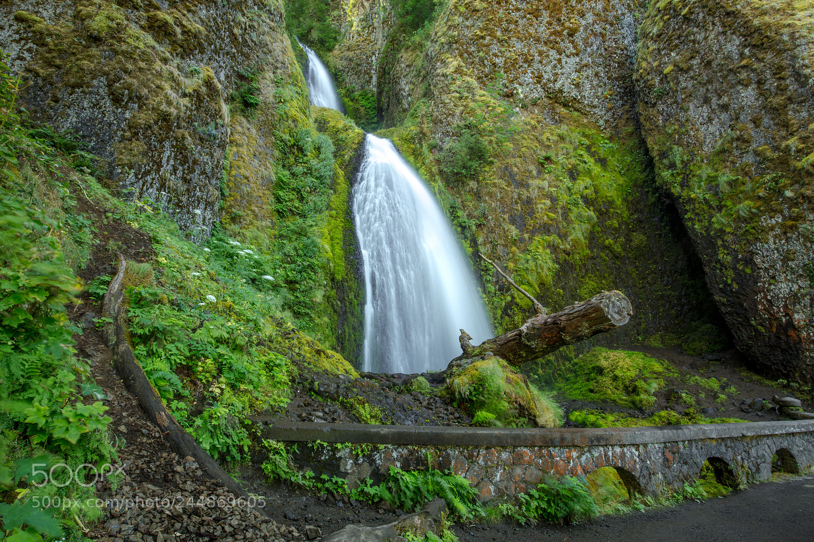 Canon EOS 5DS R sample photo. The log & the waterfall photography