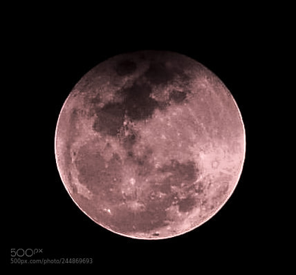 Nikon D5100 sample photo. Super blood moon photography