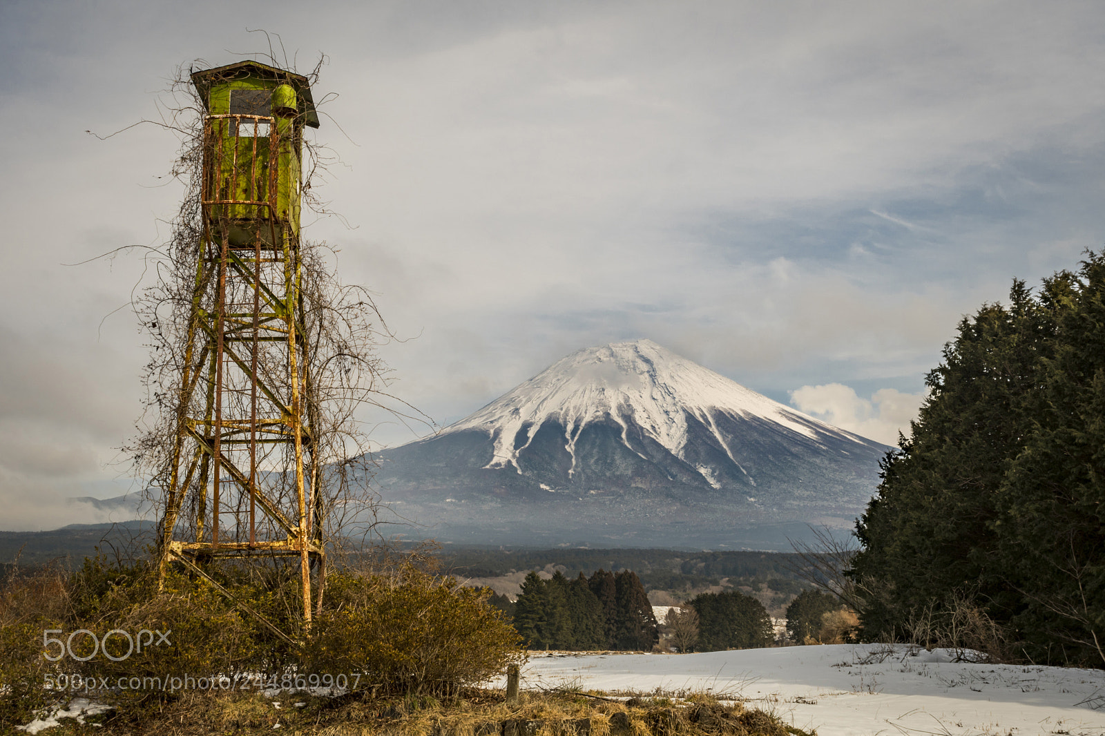 Nikon D500 sample photo. The lookout photography
