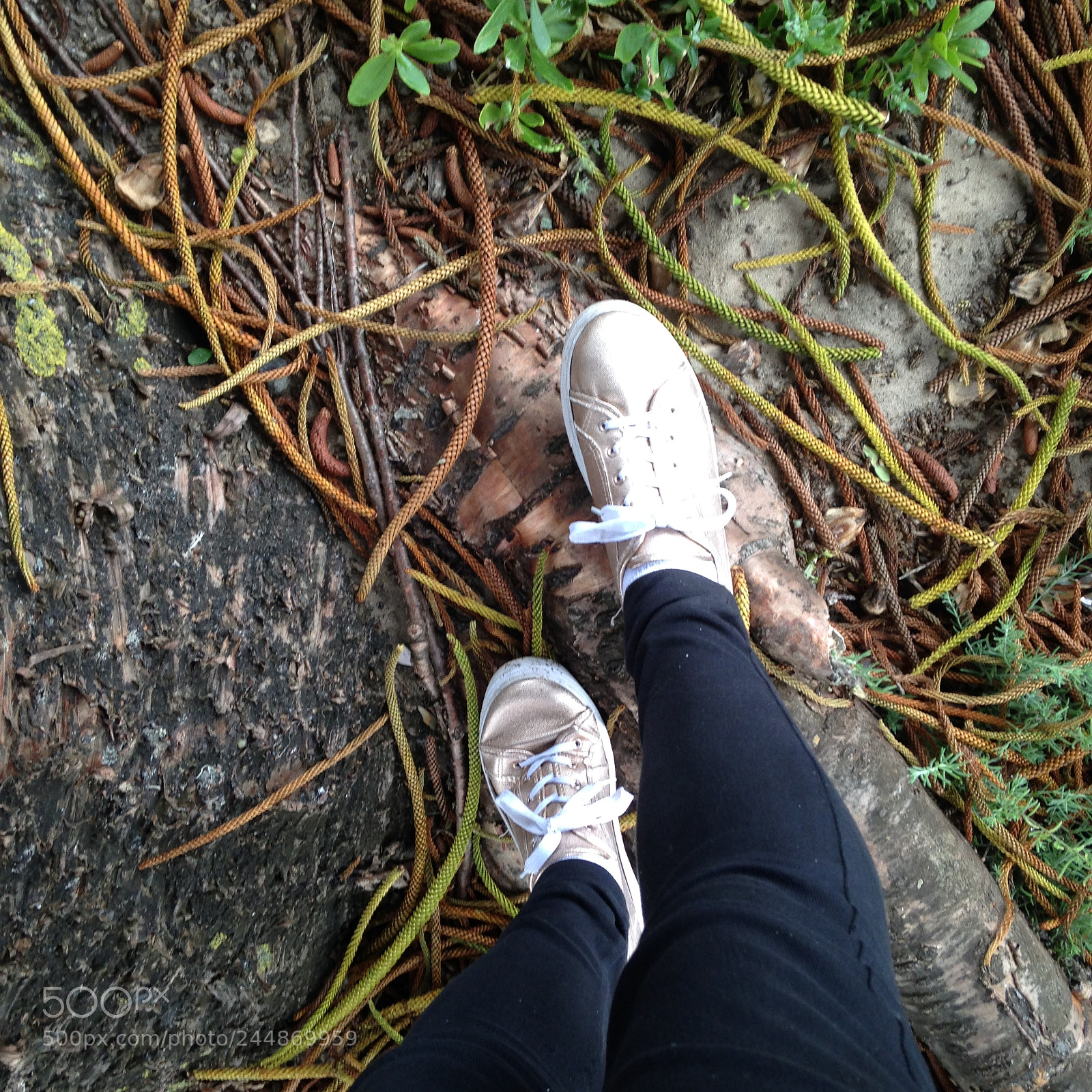Apple iPhone 5 sample photo. An adventure photography