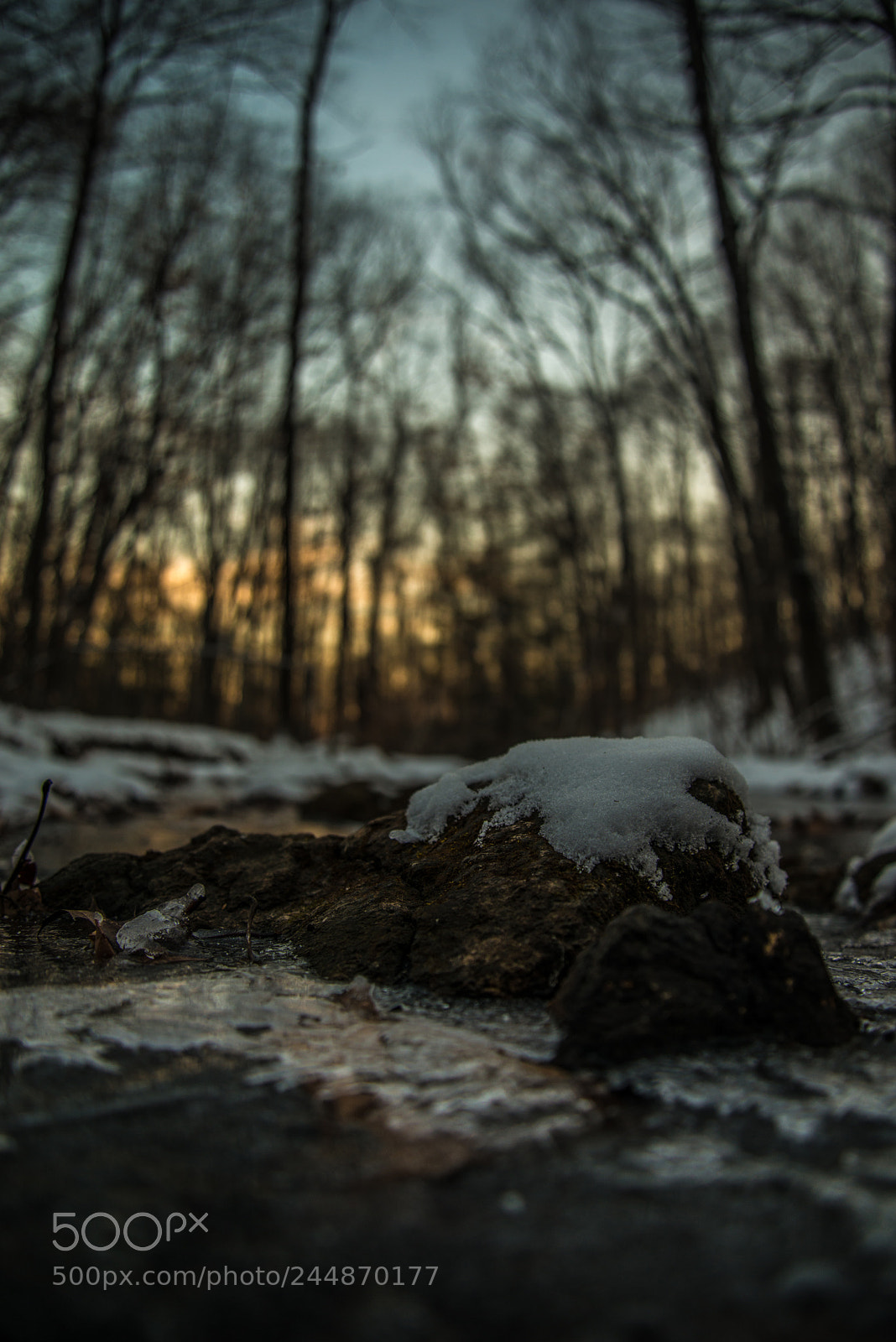 Nikon D800 sample photo. Rock in the woods photography