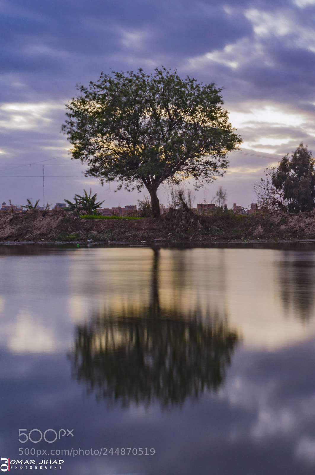 Nikon D3200 sample photo. Long exposure tree photography