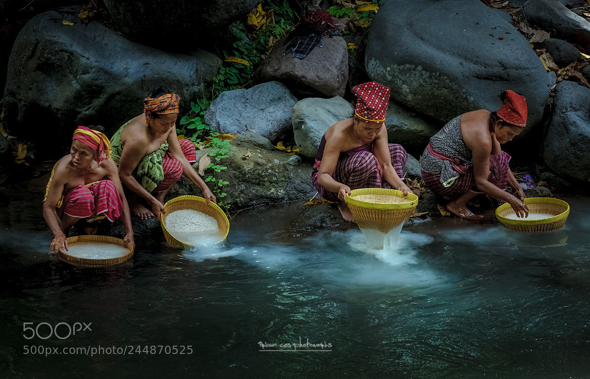 Nikon D300S sample photo. Washing rice tradition photography