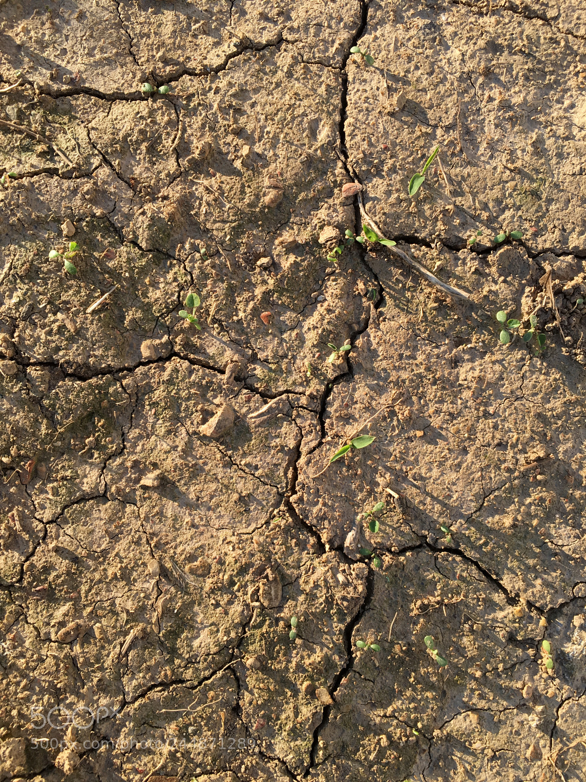 Apple iPhone 6s sample photo. Cracks in the earth photography