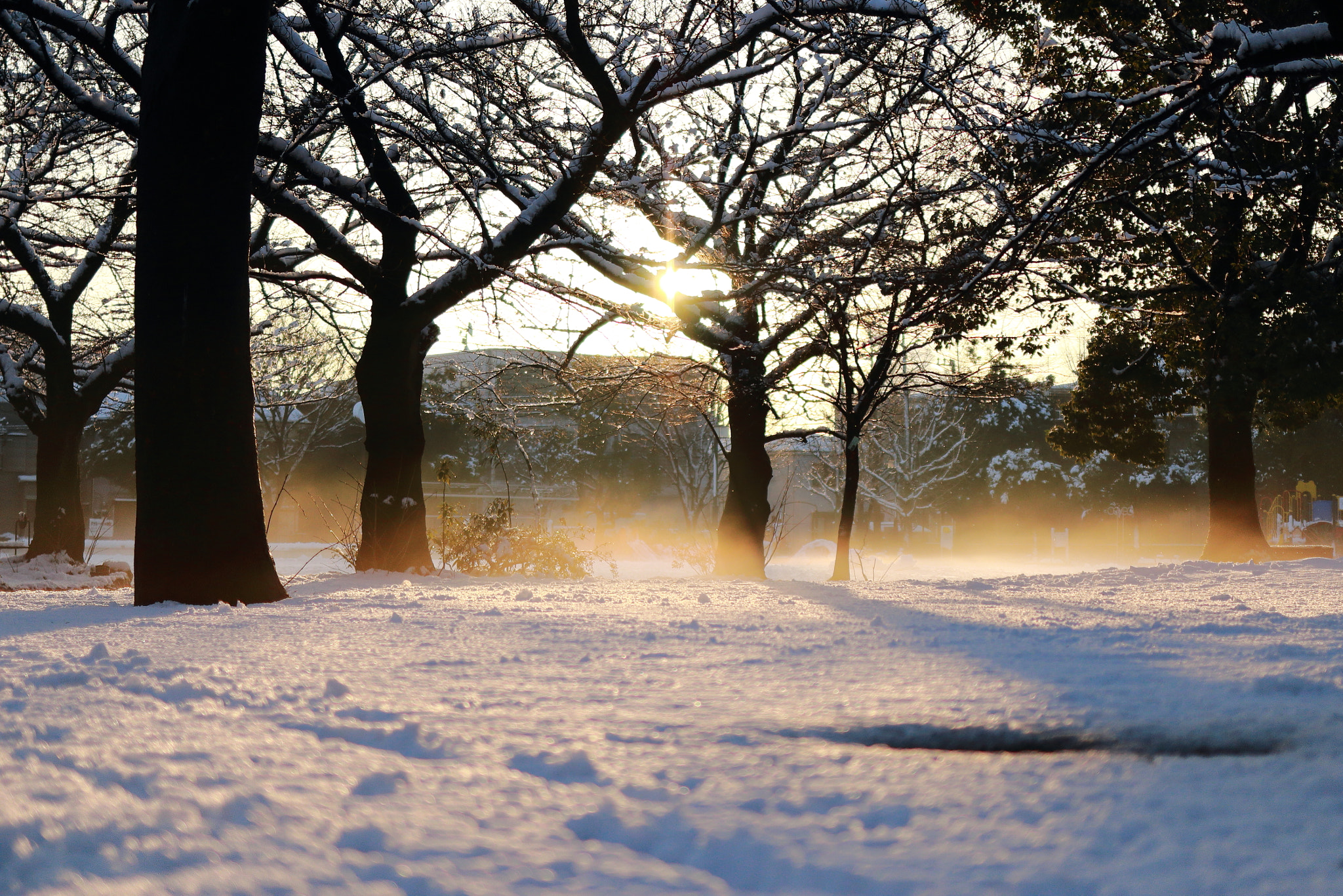 Canon EF 35mm F2 IS USM sample photo. Glitter morning photography