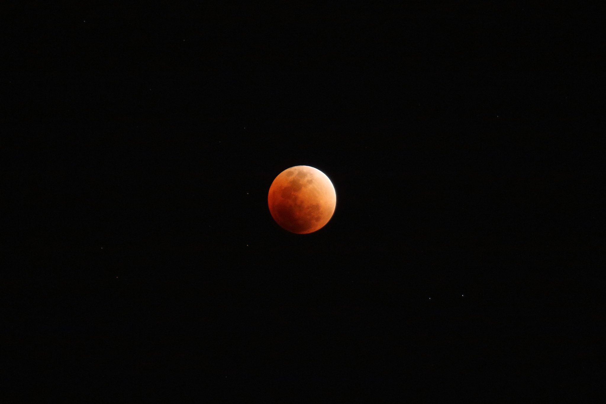 Canon EOS 70D + Canon EF-S 18-135mm F3.5-5.6 IS USM sample photo. Super blue blood moon photography