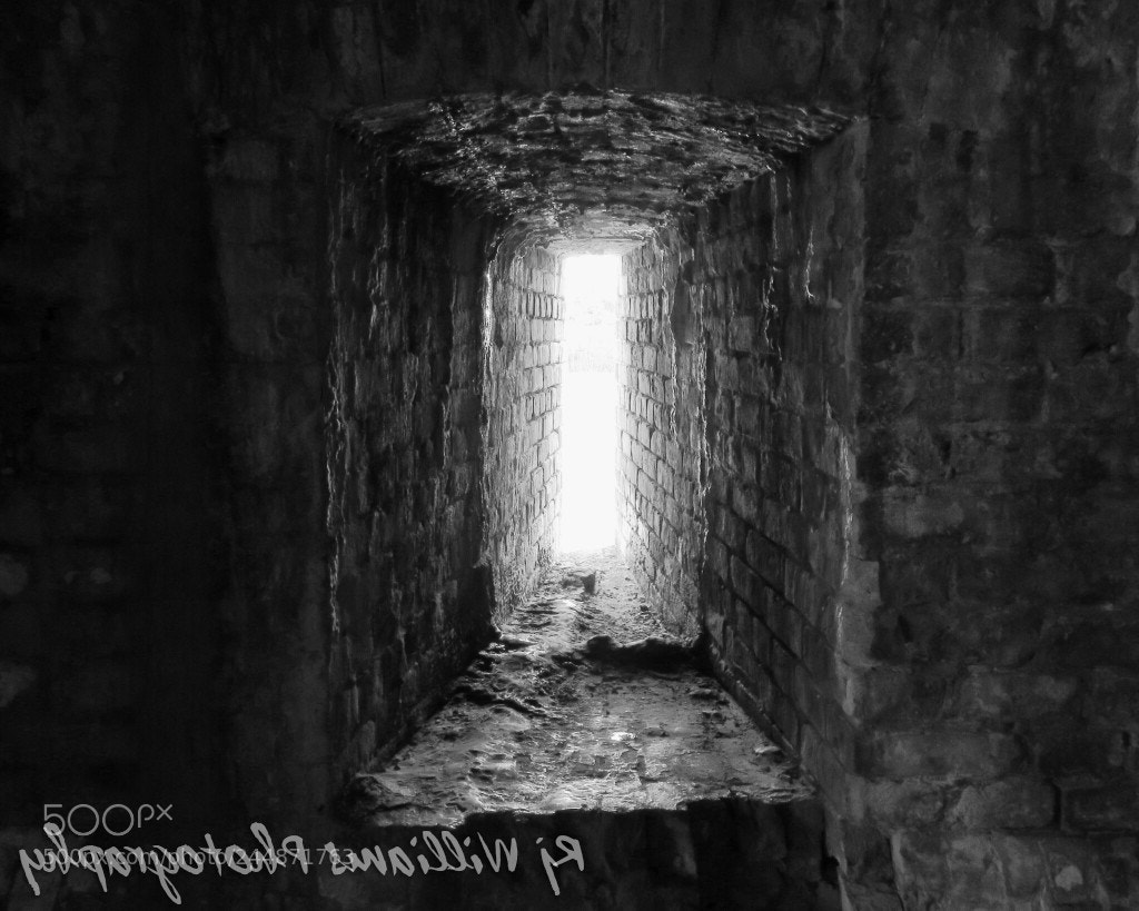 Canon PowerShot SX60 HS sample photo. Untitled photography