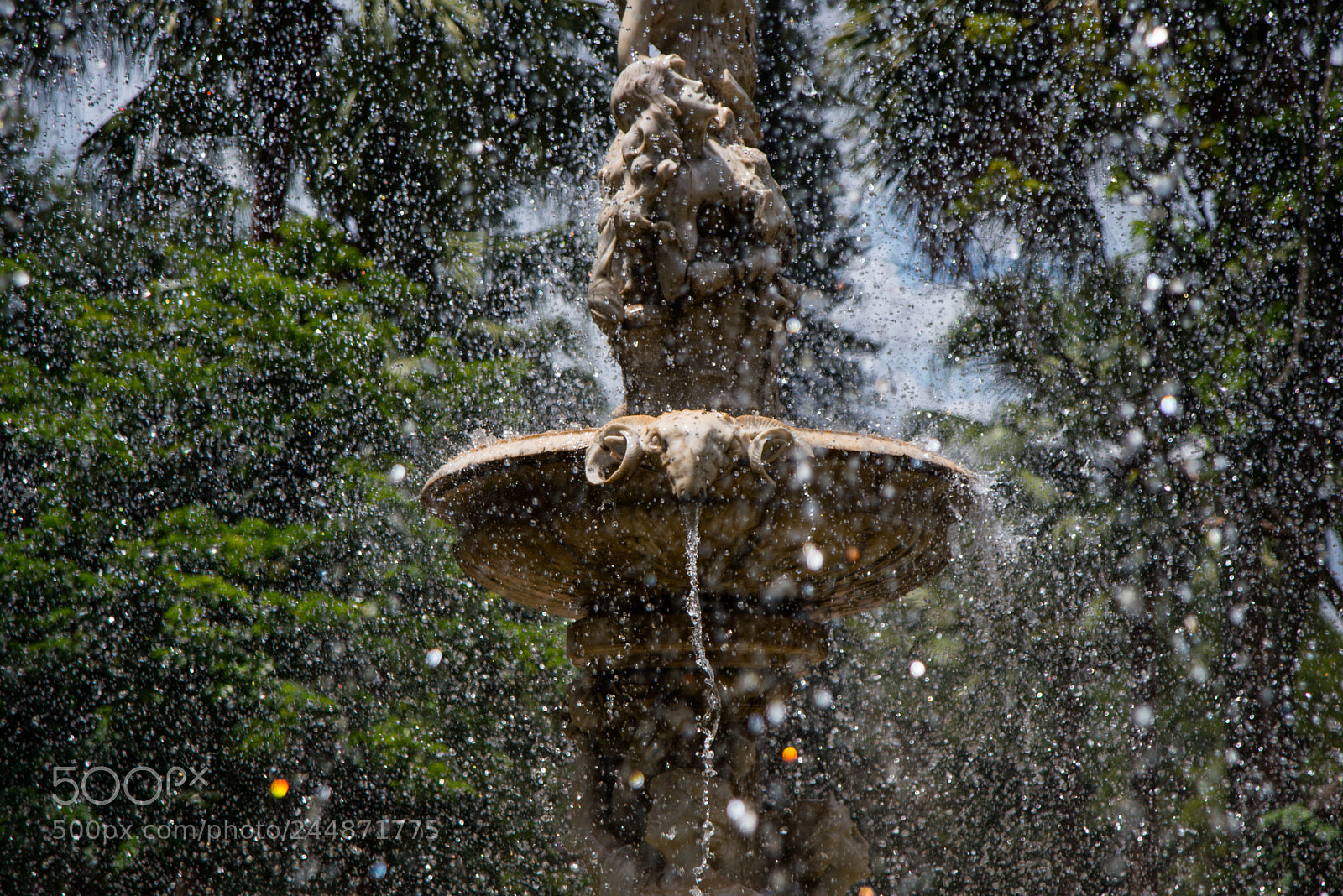 Nikon D800 sample photo. Untitled photography