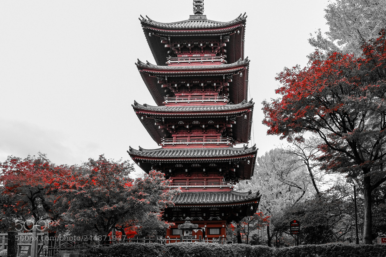 Fujifilm X-T20 sample photo. The red autumn of photography