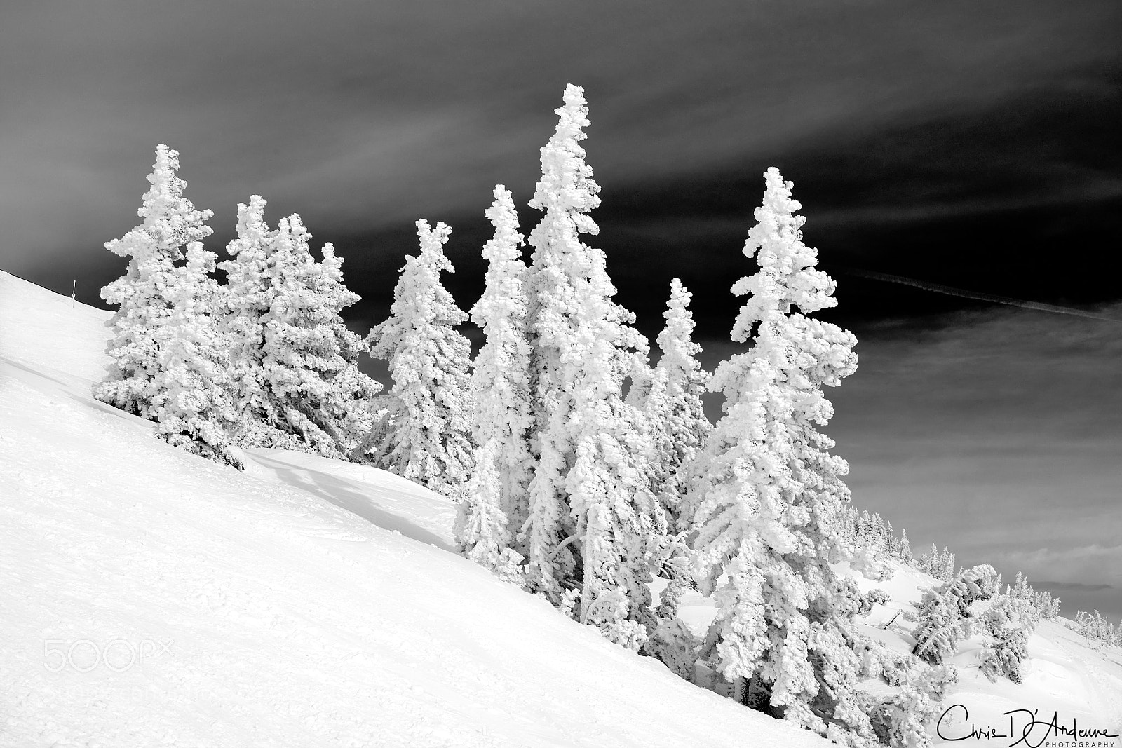 Sony a7R III sample photo. Frozen photography