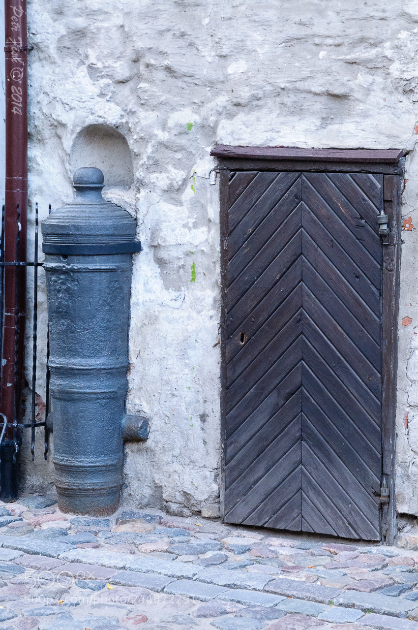 Nikon D300S sample photo. Door photography
