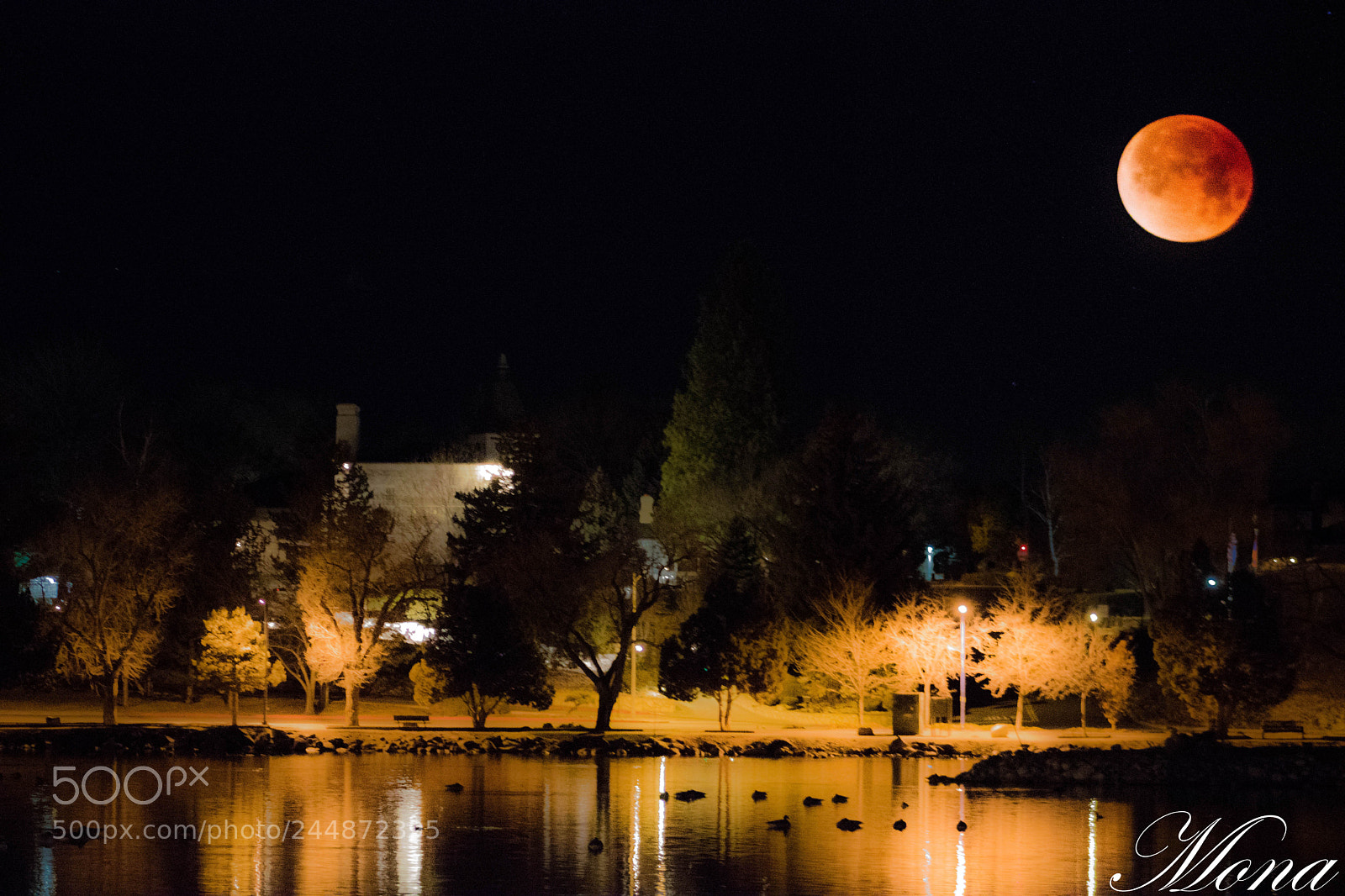 Canon EOS 750D (EOS Rebel T6i / EOS Kiss X8i) sample photo. Super blue blood moon photography