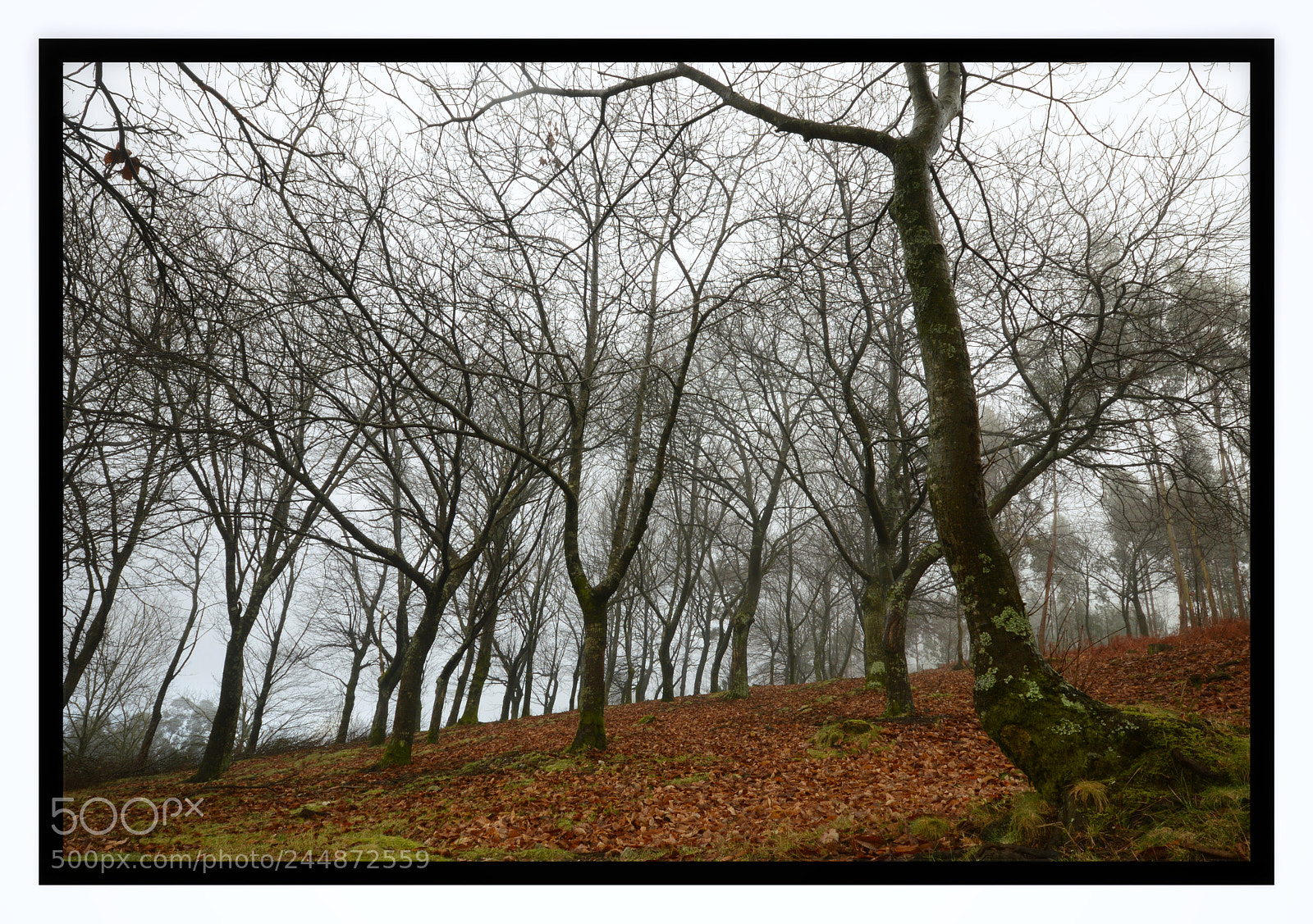Nikon D3200 sample photo. O castrove photography